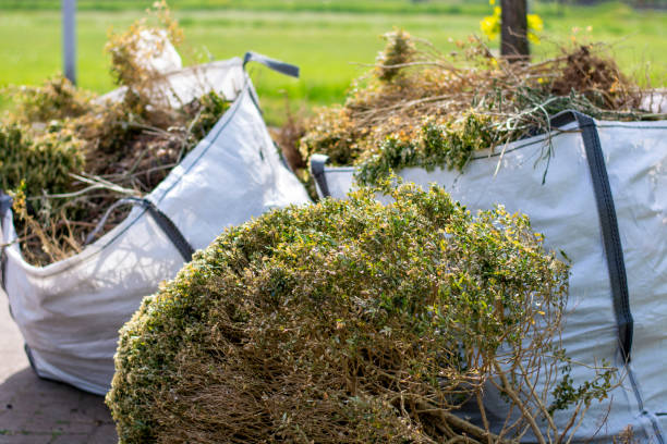 Attic Cleanout Services in Swanton, OH